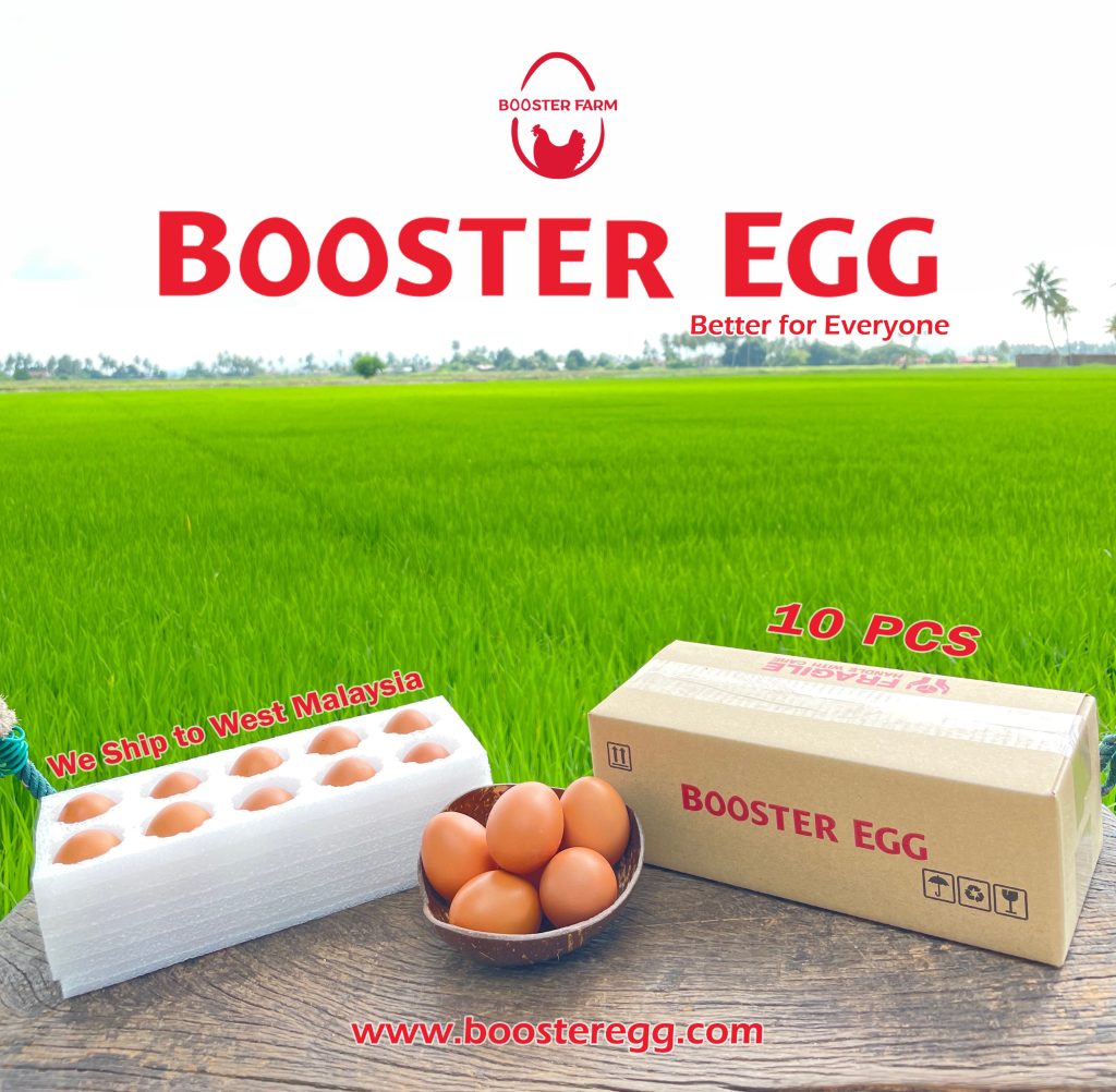Booster Egg (10pcs) Booster Egg