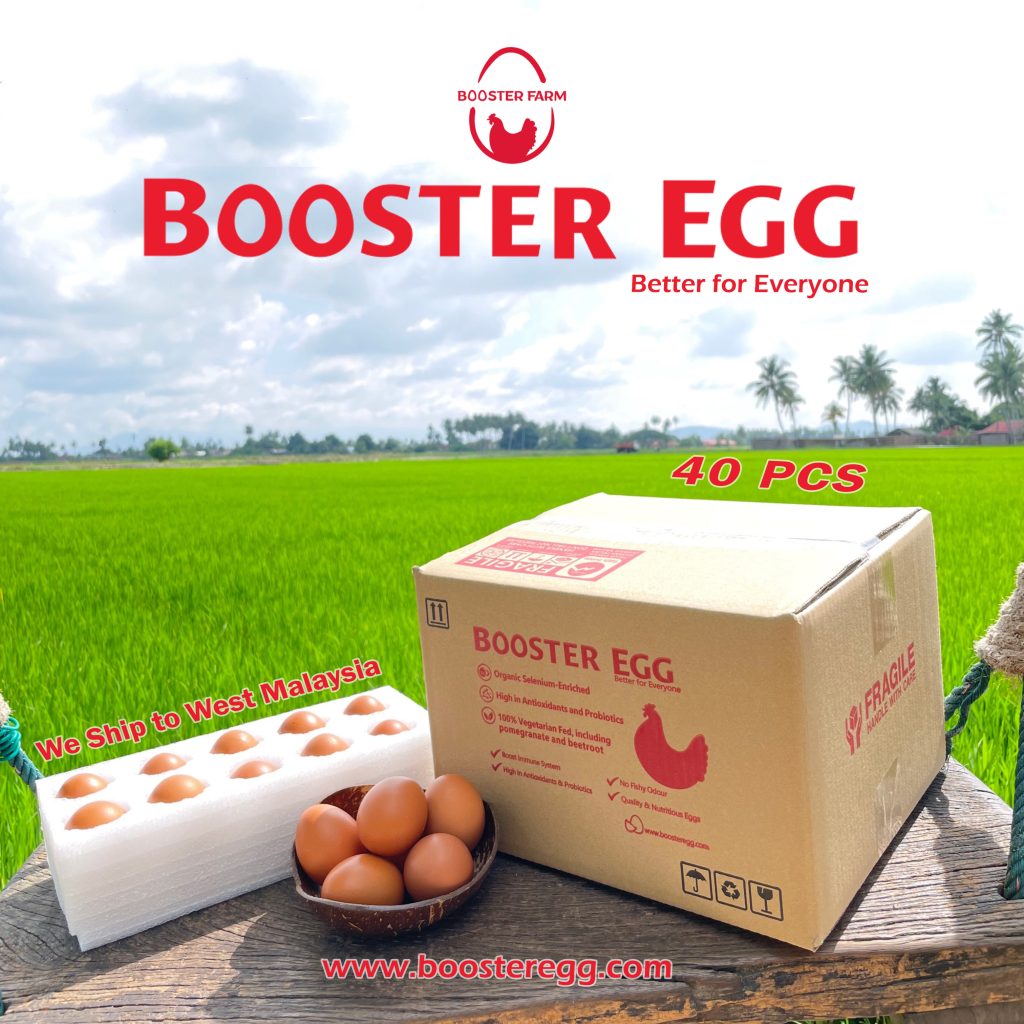 Booster Egg (40pcs) Booster Egg